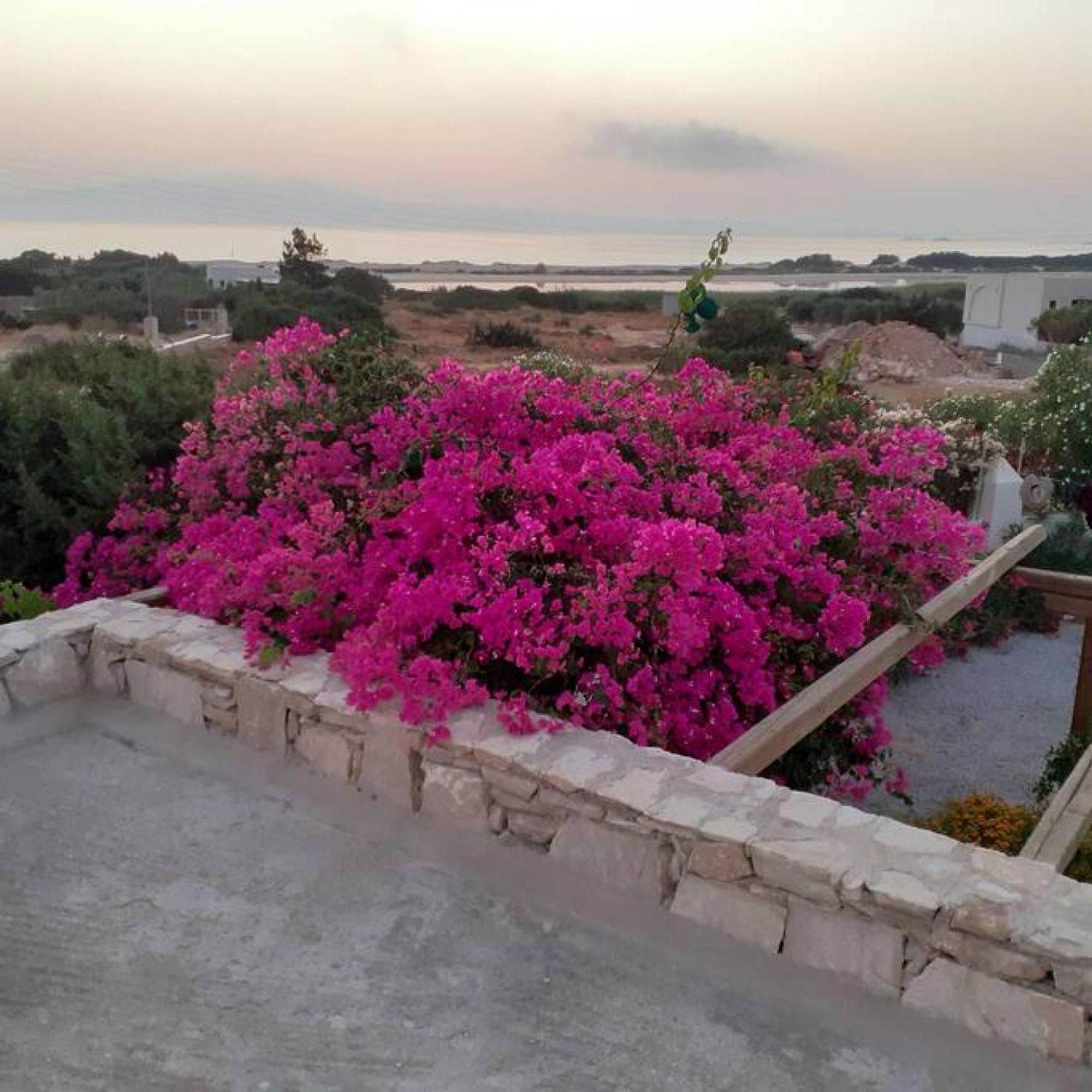 Naxos Alyko Traditional Vacation House "Mitatos" Aliko Beach المظهر الخارجي الصورة
